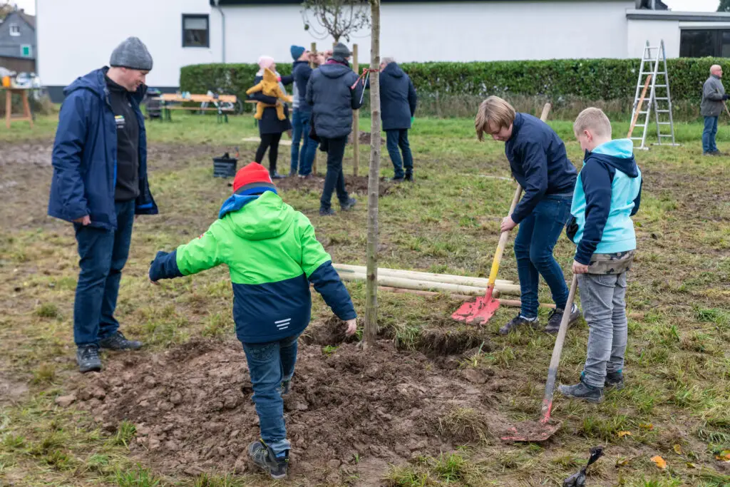 75 Obstbäume zum 75. Stadtjubiläum