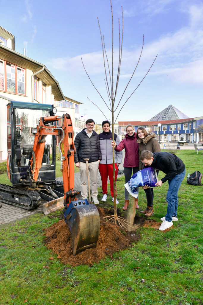 Baumpflanzaktion an der Bettine-von-Arnim-Gesamtschule: Klimaschutz und bleibende Erinnerung 3