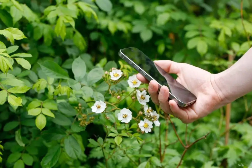 Artenbestimmung kinder- und jugendleicht:Aktion „Bioblitz“ in derKinder-Wildnis Langenfeld