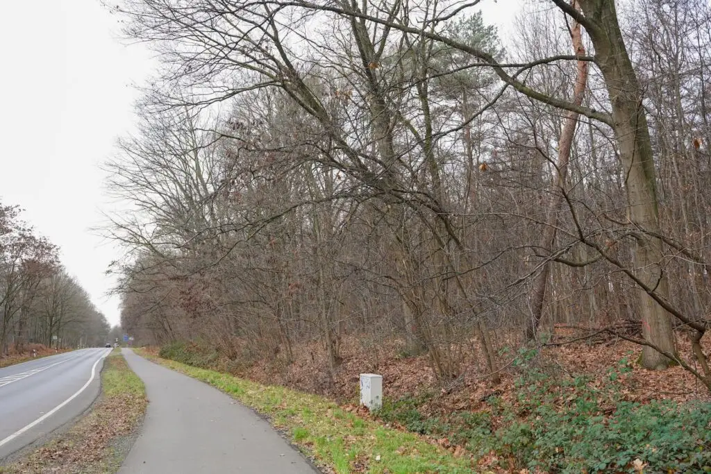 Fällarbeiten im Further Moor: Verkehrliche Beeinträchtigungen zwischen den Jahren möglich