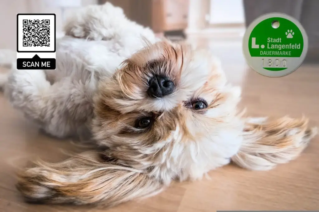 Hundebestandsaufnahme