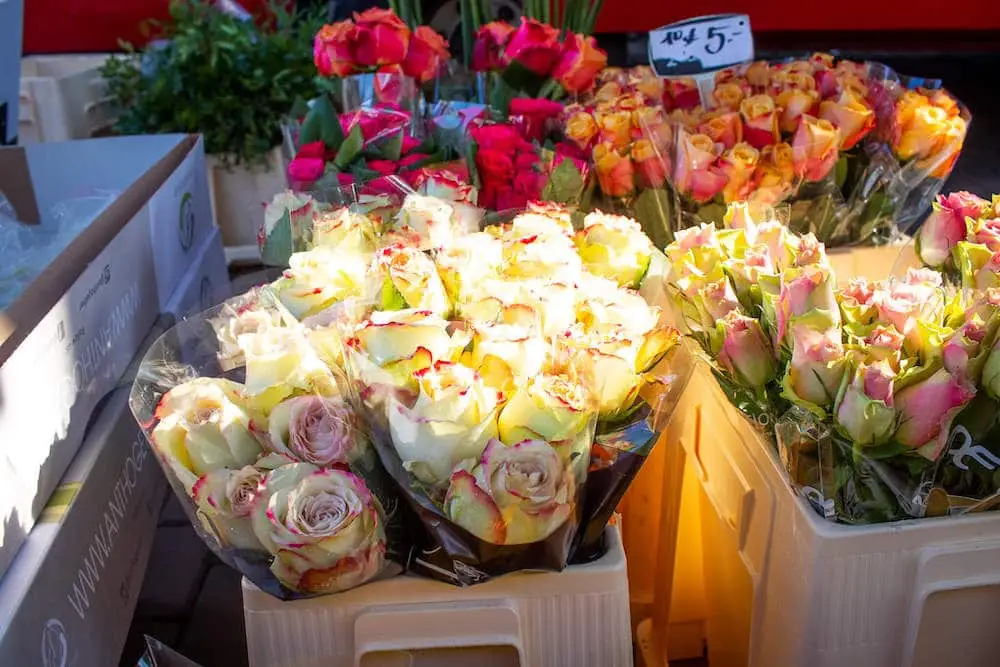Langenfelder Wochenmarkt - Wer ist da? [Teil 11] 6