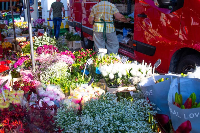 Marktstand Holländische Blumen Langenfelder Wochenmarkt Bild 8