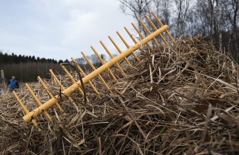 Natur & Umwelt 2