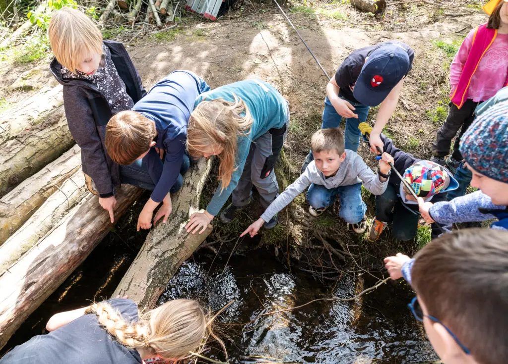 Schatzsuche in der Kinderwildnis