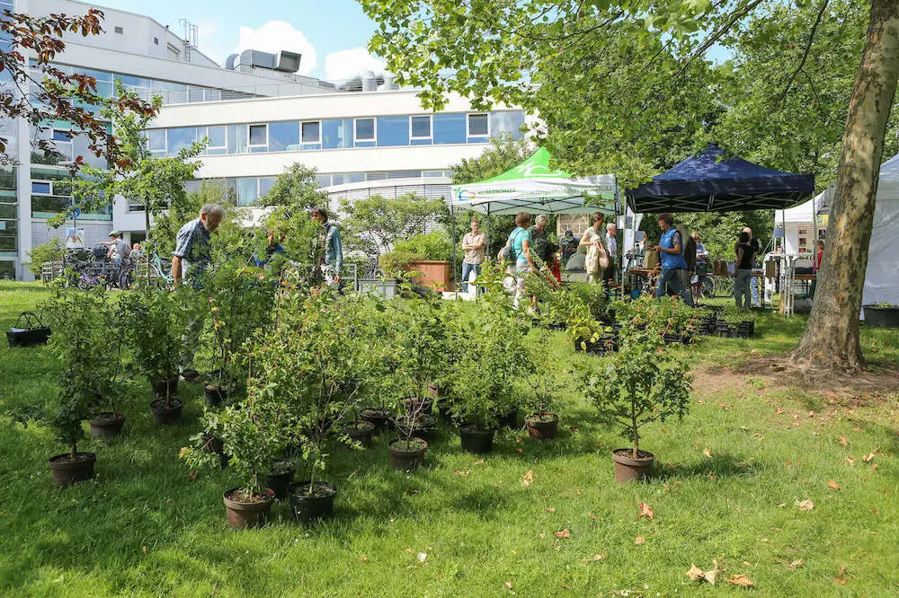 2. Langenfelder Naturgartentag 2 2. Langenfelder Naturgartentag 2