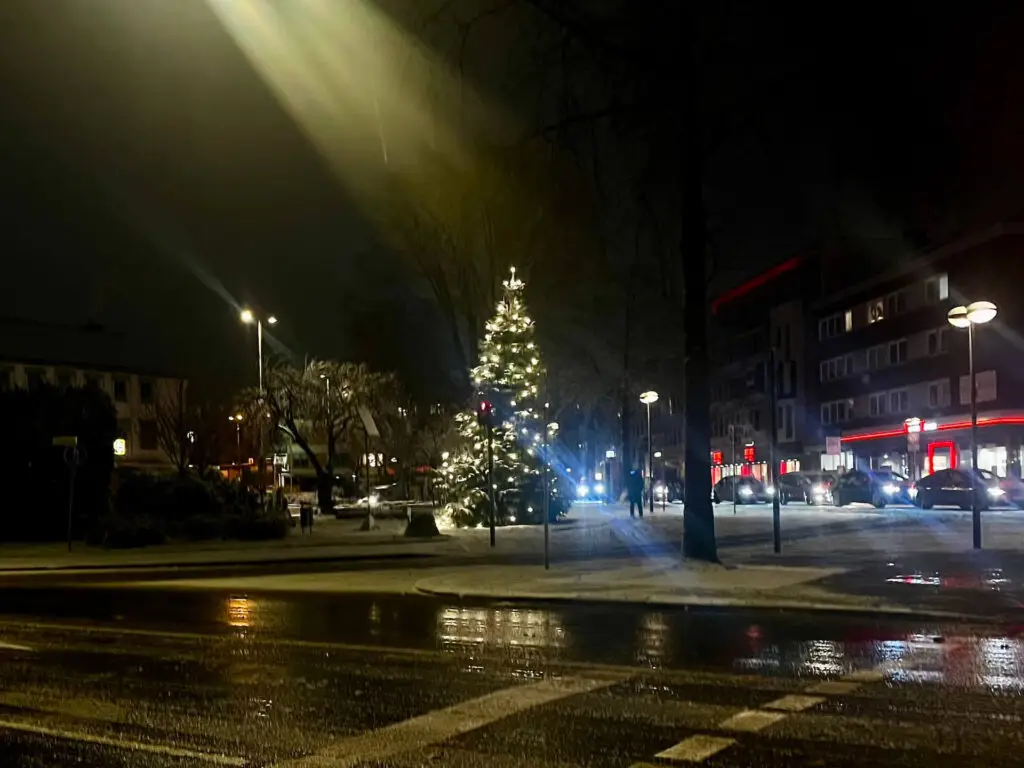 Abschied vom Weihnachtsbaum: Tannenbaum-Abholung in Langenfeld