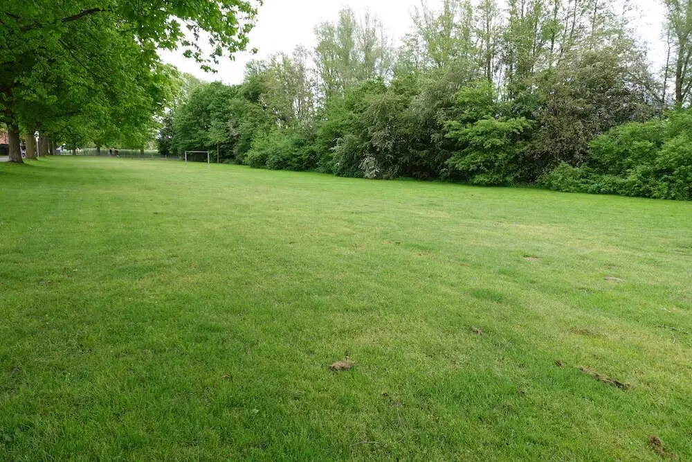 Ein Naturerfahrungsraum für Langenfeld