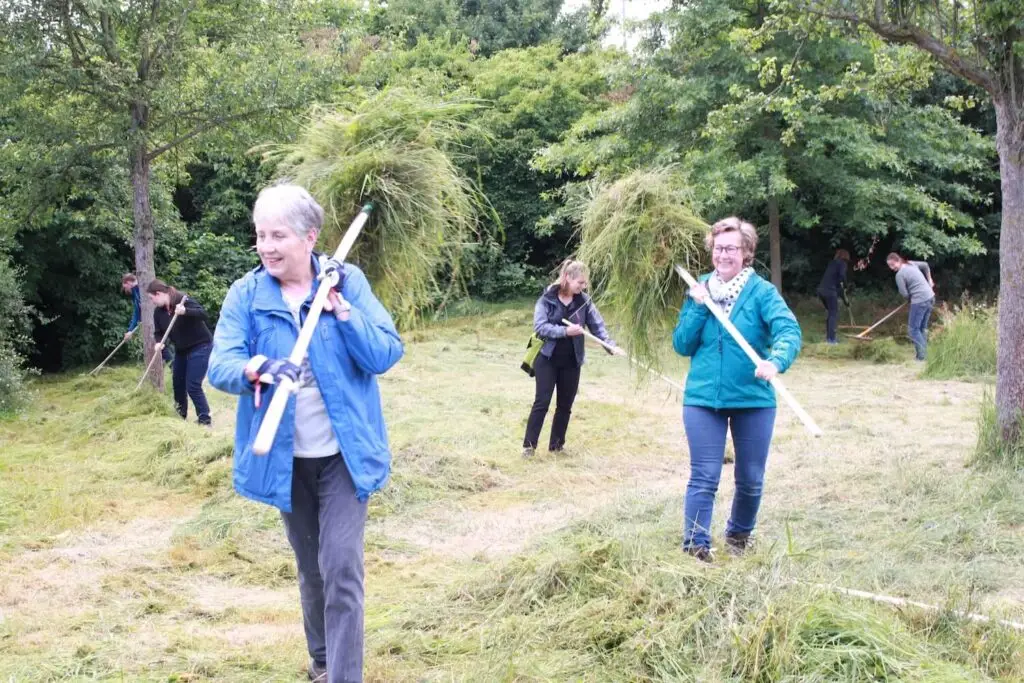 Workshop zur Wiesenpflege am 4. Juni „Am Collmar“ in Reusrath